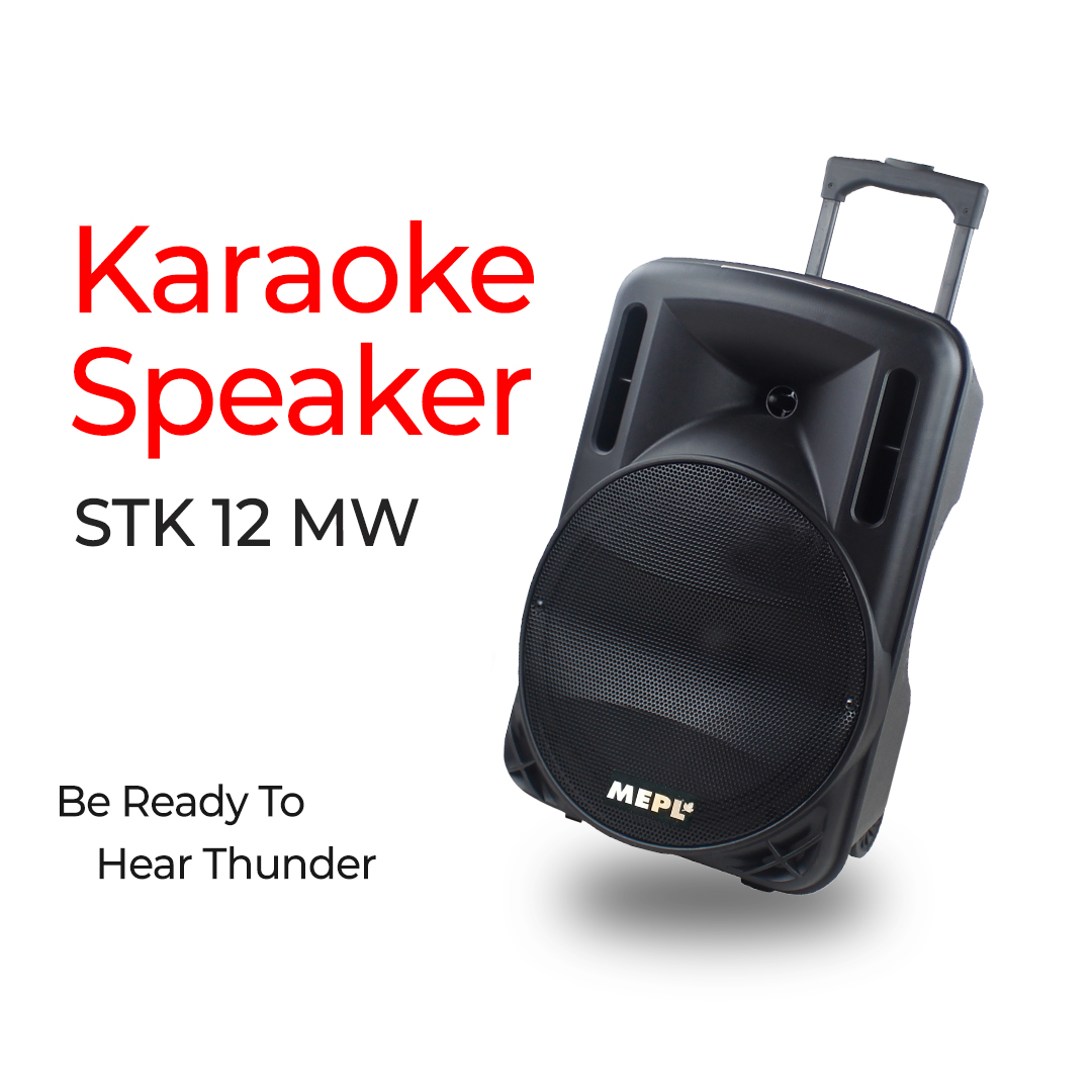 MEPL Portable Karaoke Speaker STK 12 MW